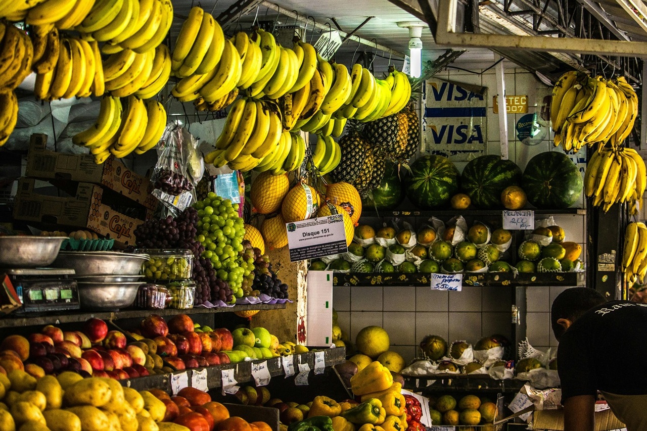 pexels-maumascaro-796580