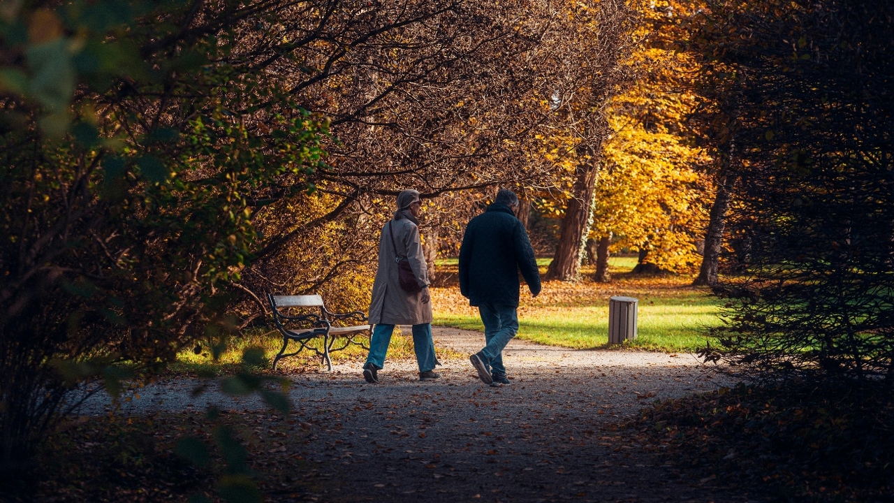 pexels-usidz-36551785 (1)