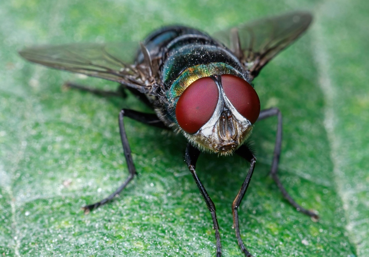 pexels-cassius-cardoso-927917183-25915938