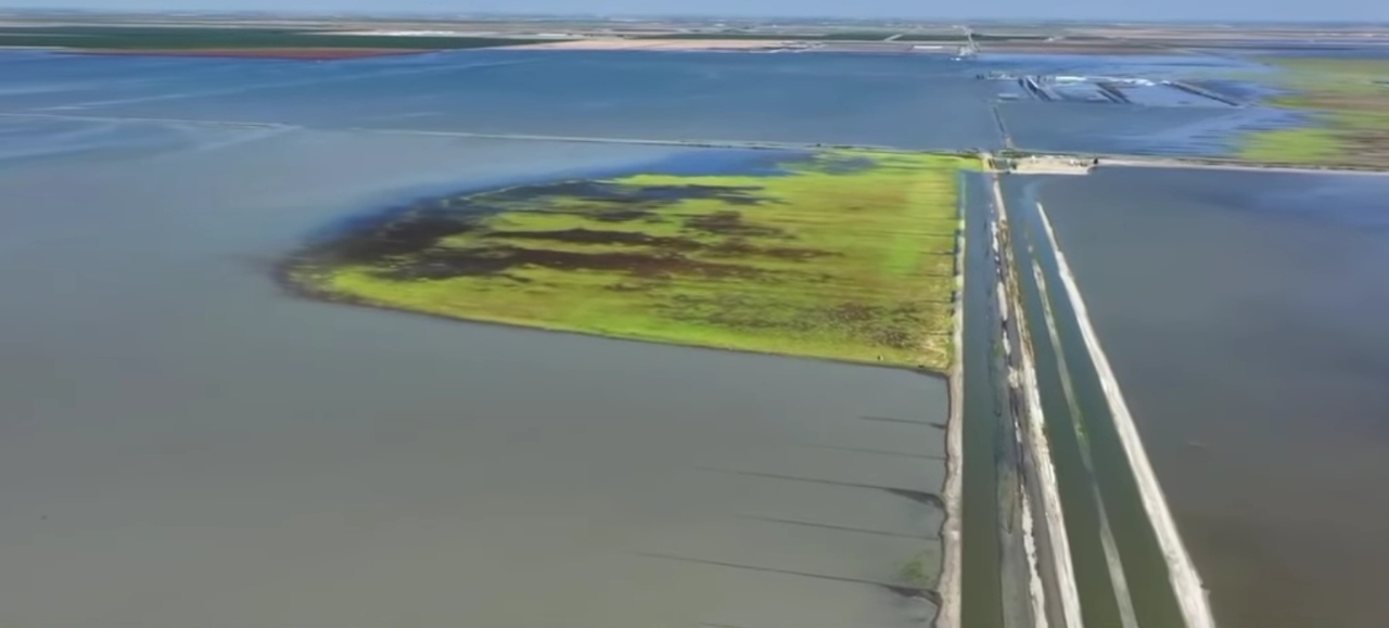 image - 2025-12-15T151140