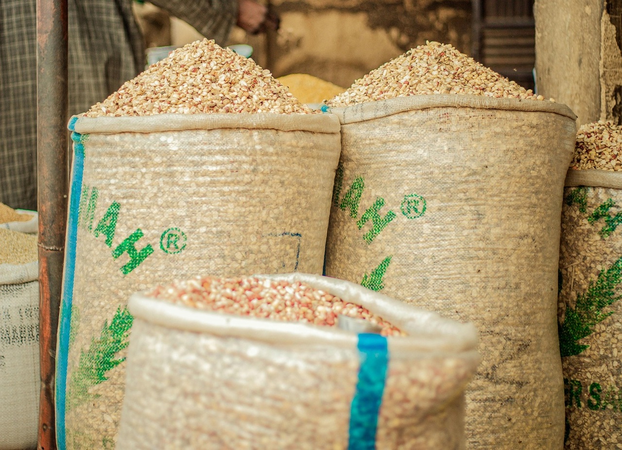 pexels-soft__work__-1913651507-31113266