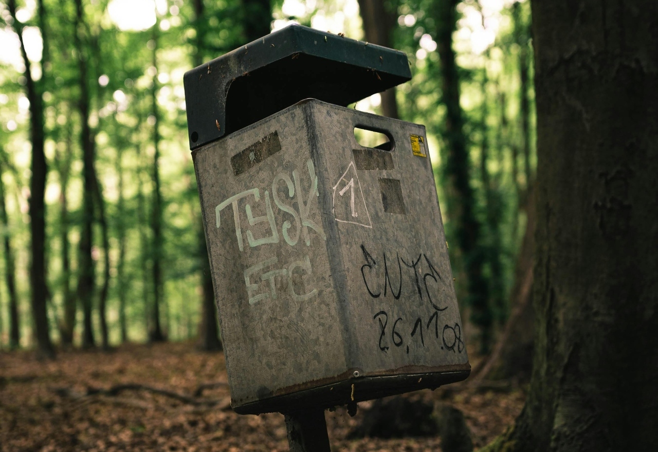 pexels-flo-zimmermann-3188601-4809752 (1)