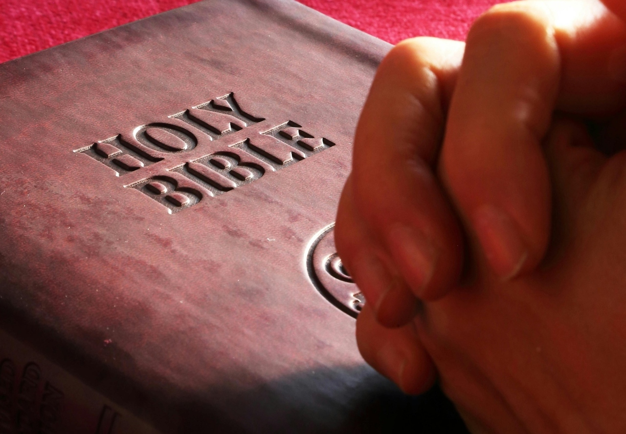 pexels-pixabay-267559 (1)