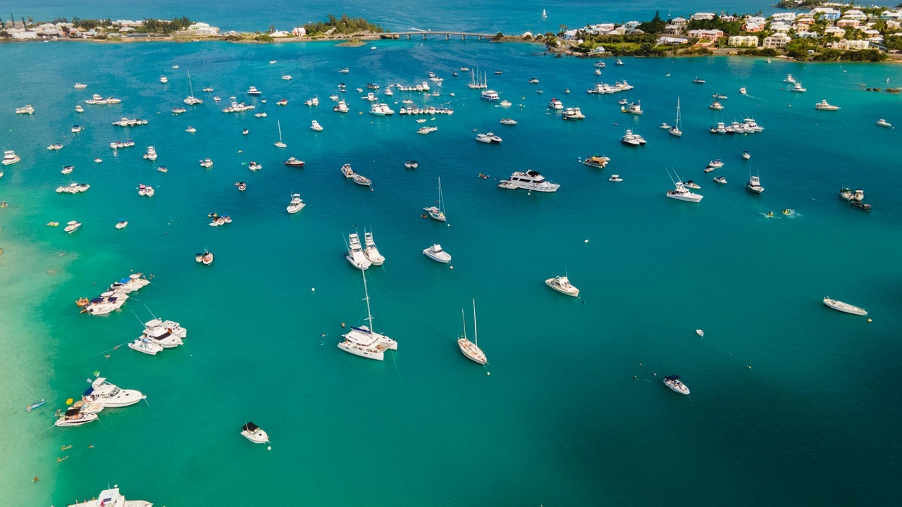 pexels-brandon-morrison-119560-6029549