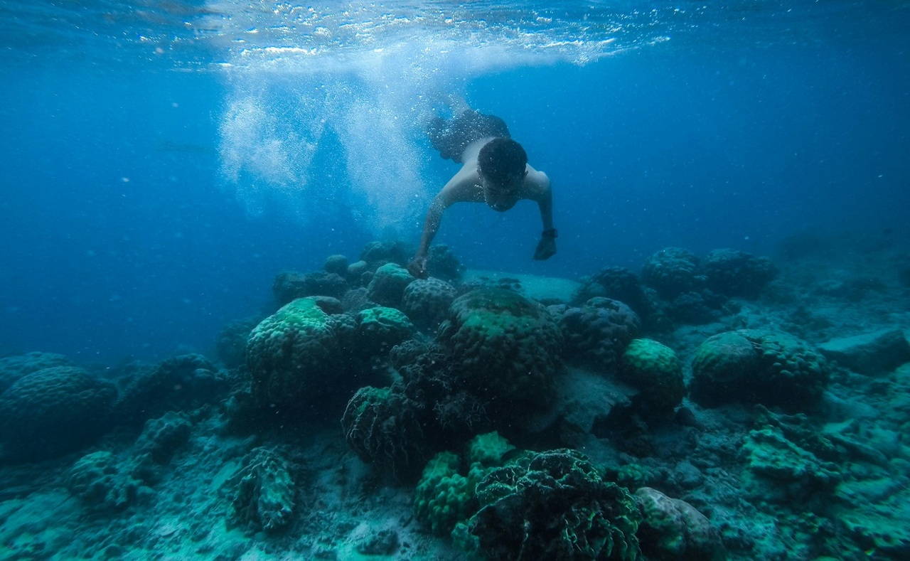 pexels-dejan-2521579