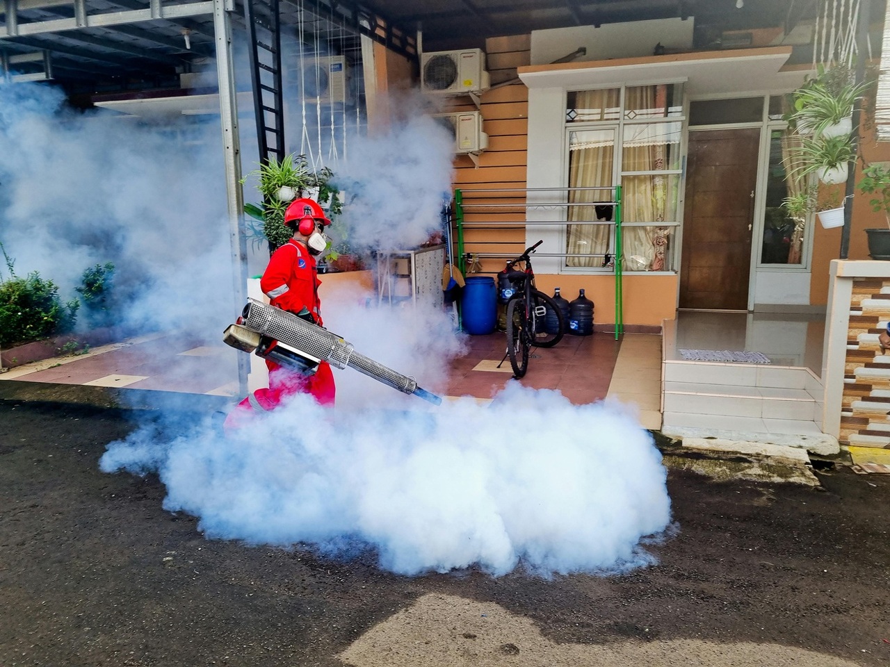 pexels-garda-pest-control-indonesia-895947270-19789841