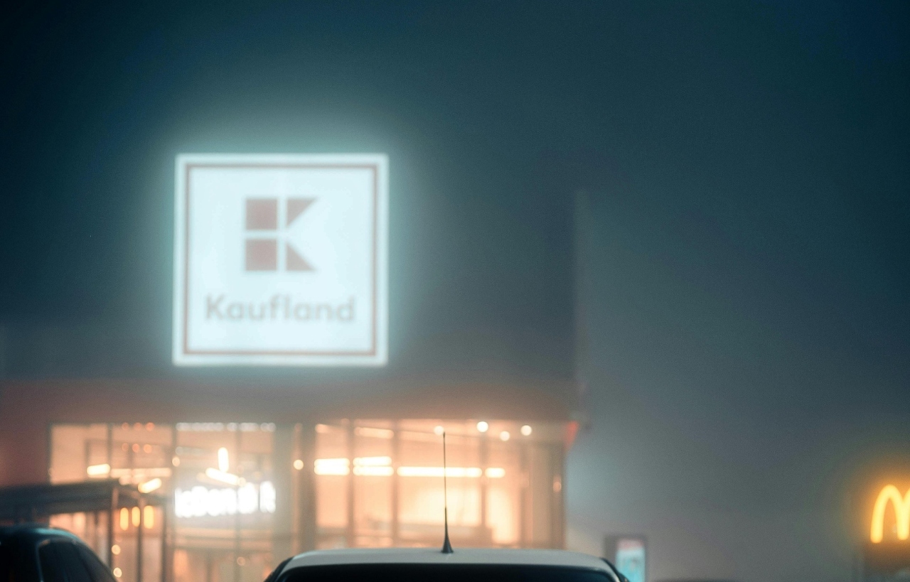 pexels-borta-2790256-30271170 (2) (1)