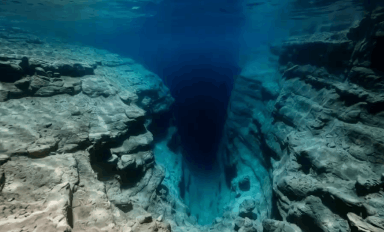 Snimka zaslona 2026-01-28 171912