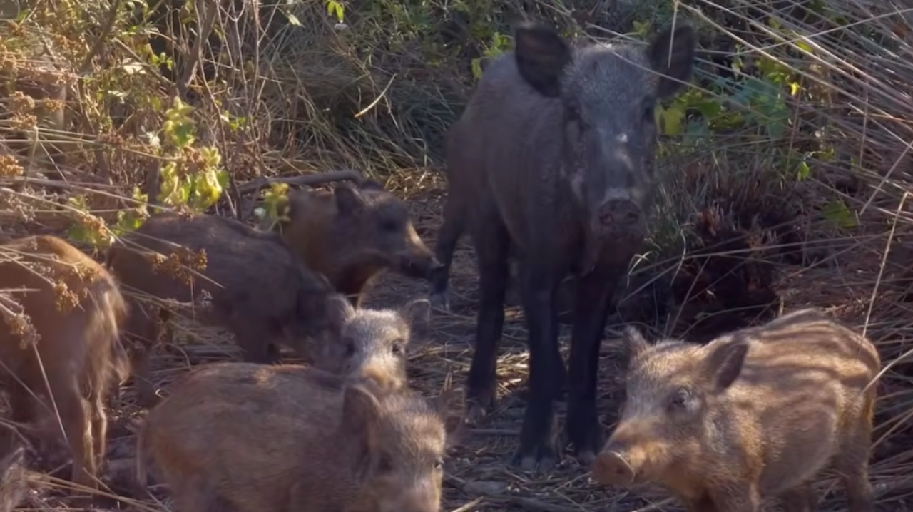 image - 2026-03-13T154920