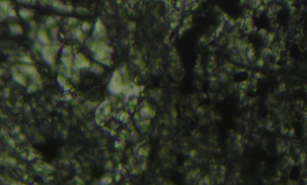 Snimka zaslona 2026-03-08 095501