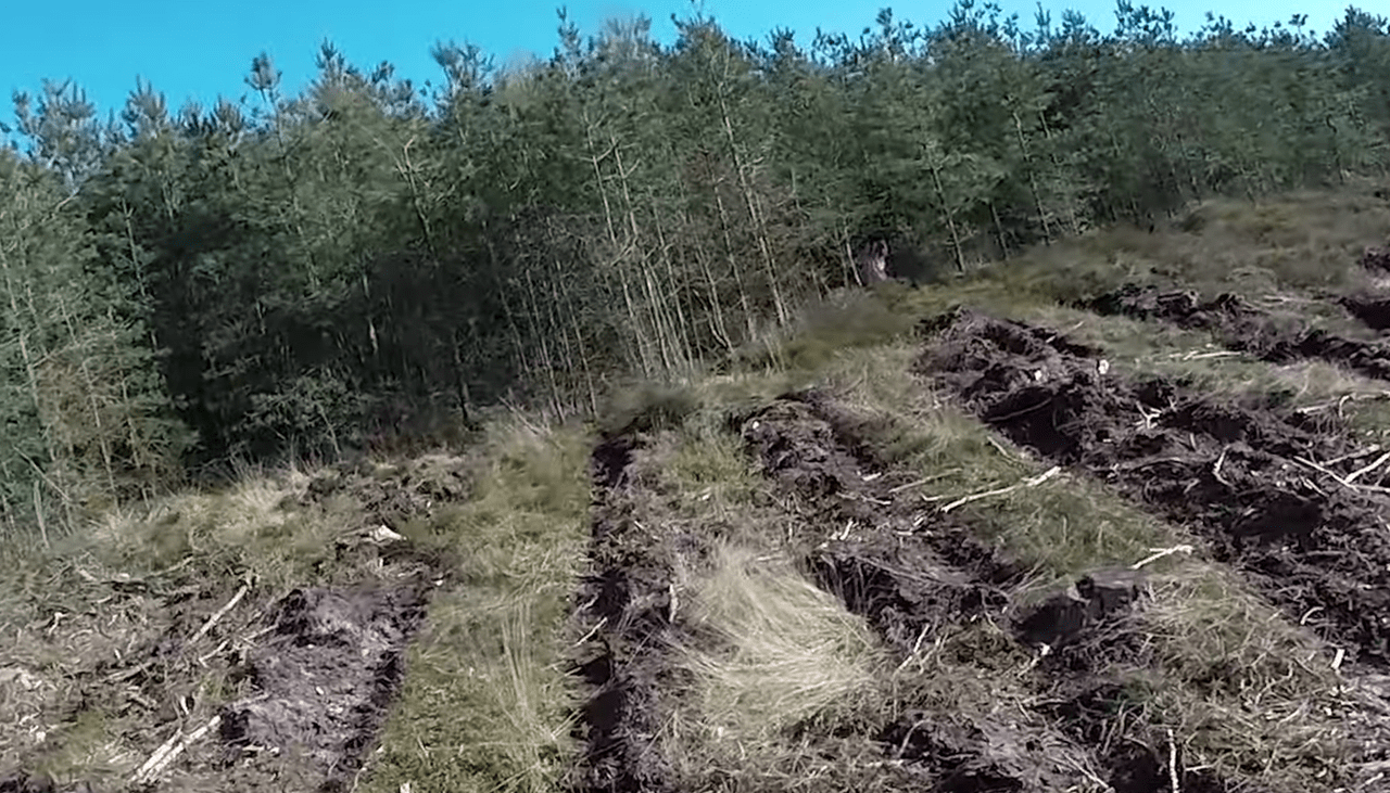 Snimka zaslona 2025-12-21 115209-min