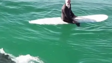 Divovski morski pas krenuo je prema surferima: Od snimke se ledi krv u žilama
