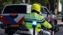 Policija se dala u lov nakon što su u gradu vidjeli čudnovato biće na dvije noge