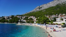 Plivaju našim Jadranom, a izgledaju kao bića s drugih planeta: Ljudi ih se boje kao vraga