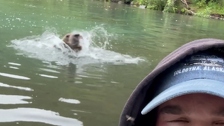 Turisti su uživali na brodu, a onda se pojavio divovski monstrum: Gosti su ostali bez riječi