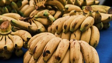 Najzdraviji dio banane gotovo svi odmah bace u smeće: Ne, nije ni kora, ni vrh