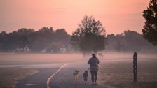 Veterinar upozorava vlasnike pasa: Pazite ako šetate uz jezera i rijeke, dovoljan je i jedan dodir da završi kobno