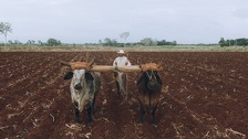 Farmer orao njivu pa pronašao masivan metalni objekt: Kada su vidjeli što je to svi su ostali zapanjeni