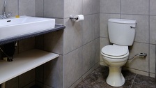 Iskusne čistačice stavljaju led u WC školjku: Ogroman problem riješe za samo 10 minuta