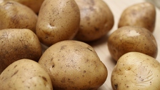 Liječnik otkrio pravu istinu o tome smije li se krumpir podgrijavati