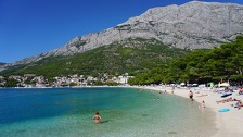 Opasna otrovna riba s krilima i bodljama ponovno viđena u Jadranu: Može doći i u plićak