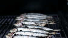 Nutricionist otkrio tko nikako ne smije konzumirati sardine: Može stvoriti velike probleme