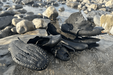 More je odjednom na obalu izbacilo stotine cipela iz davnih vremena: Njihovo porijeklo je jezivo