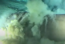 Ljudi tvrde da više neće ići u more nakon što su vidjeli zastrašujuću snimku drevnog bića