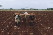 Farmer orao njivu pa pronašao masivan metalni objekt: Kada su vidjeli što je to svi su ostali zapanjeni