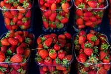 Jagode će ostati svježe i do deset dana uz ovaj trik: Trebat će vam samo ovakva posuda