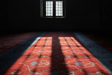 Podigla tepih u sinovoj sobi i ostala zgrožena: “Ovo me stvarno šokiralo, nisam bila spremna na ono što sam vidjela”