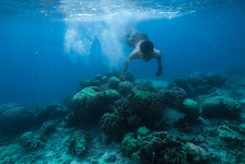 Tinejdžer zaronio u more i naišao na drevnog monstruma: Pogledajte koliko je opasna grdosija bila