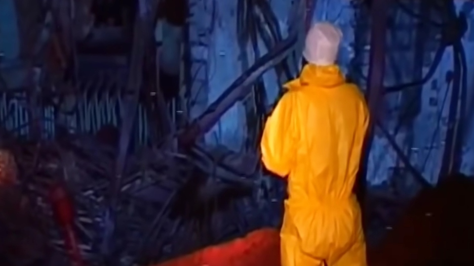 Otkrivene su gljive koje rastu u srcu Černobila: Zapanjujuće kako se rješavaju radioaktivnosti