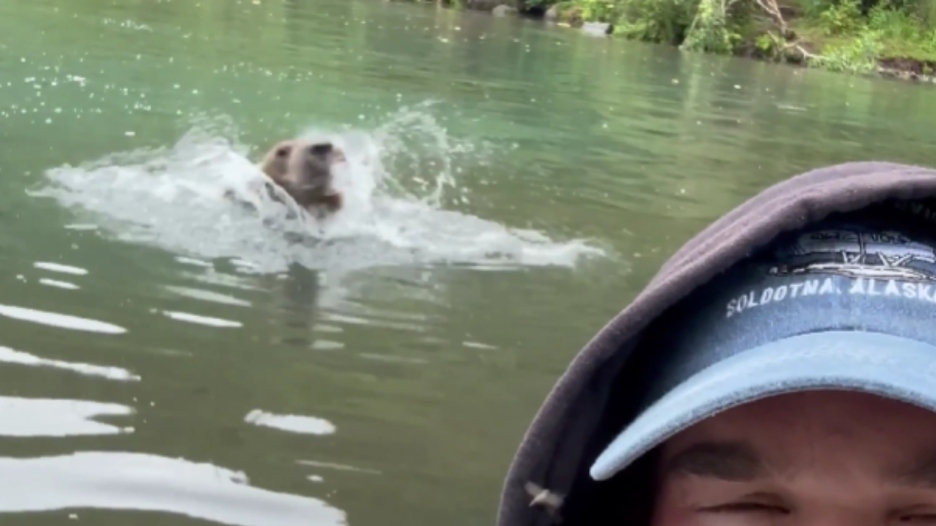 Turisti su uživali na brodu, a onda se pojavio divovski monstrum: Gosti su ostali bez riječi