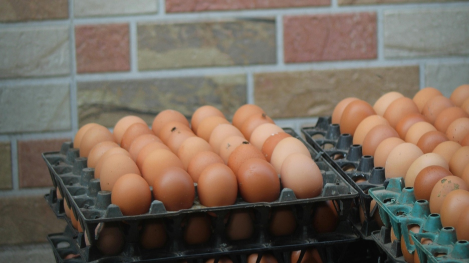 Hrvat u popularnom dućanu kupio talijanska jaja: Iznenadio se kada ih je otvorio