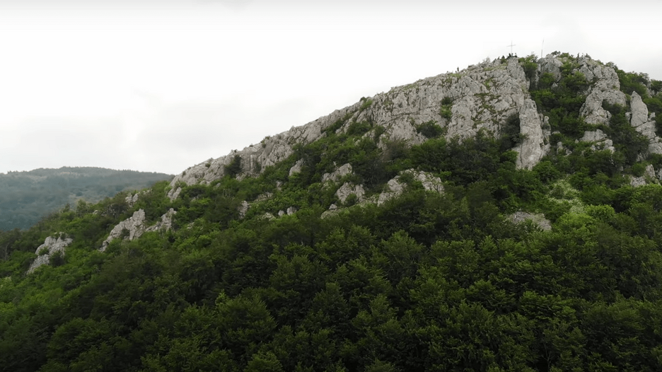 U Srbiji otkriveno golemo stvorenje i znanstvenici tvrde da je to nova vrsta: Našli smo ga u jami na planini