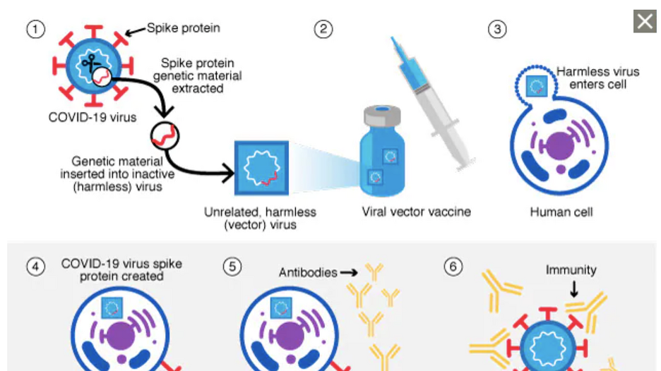 Viral vector vaccine. Types of vaccines Covid. How Viral vector vaccine works. Vaccine цветок. Virus vaccine