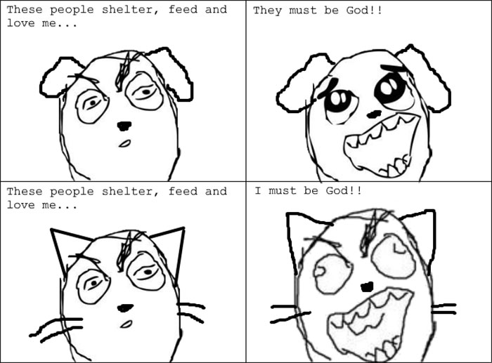 funny-cats-vs-dogs-comics-43-59c8bb3ef1b17__700