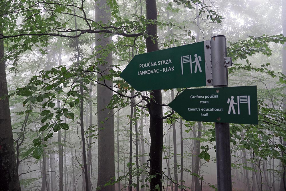 park suma jankovac (5)