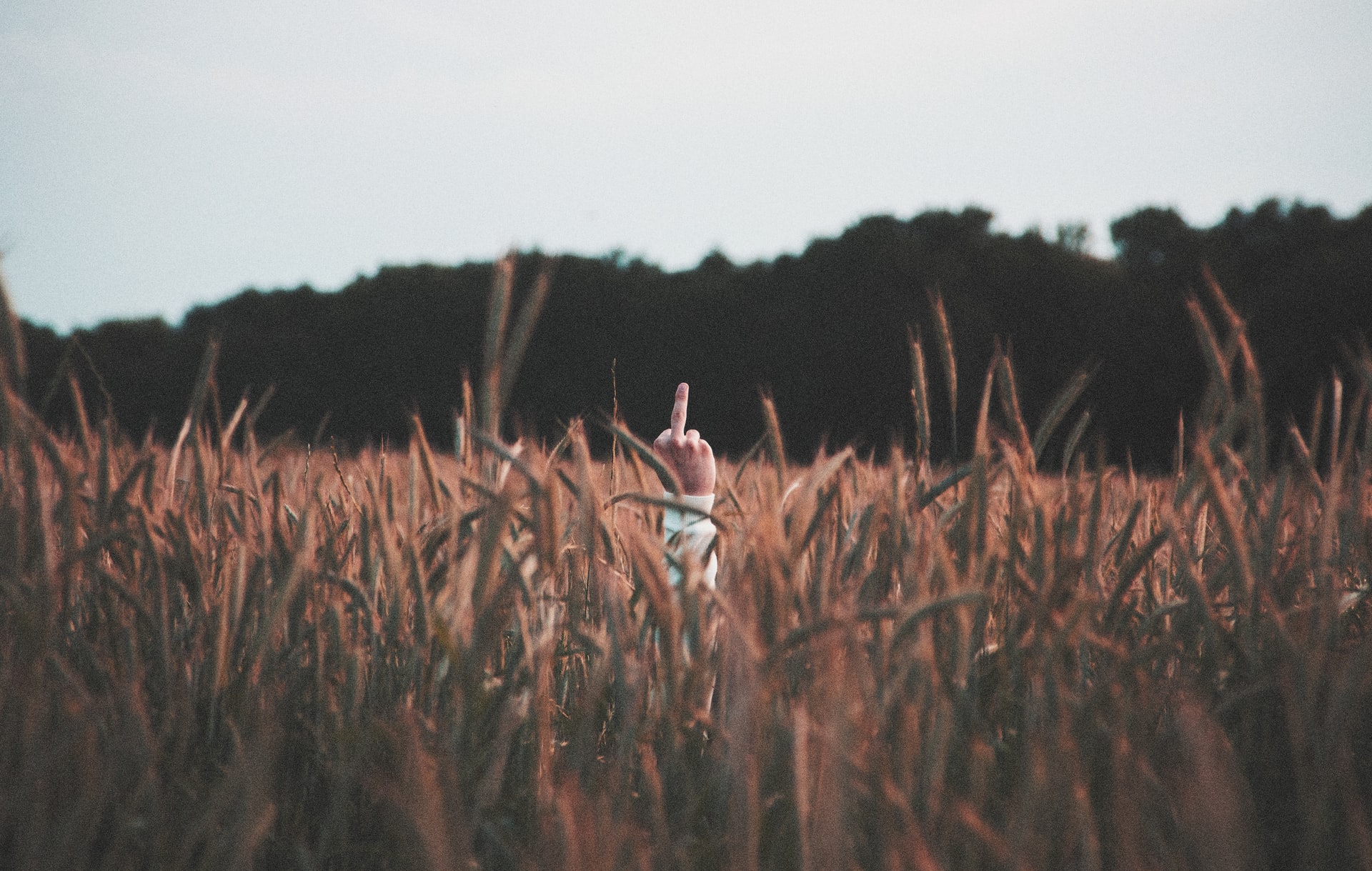 gwendal-cottin-53pCmh51_xM-unsplash