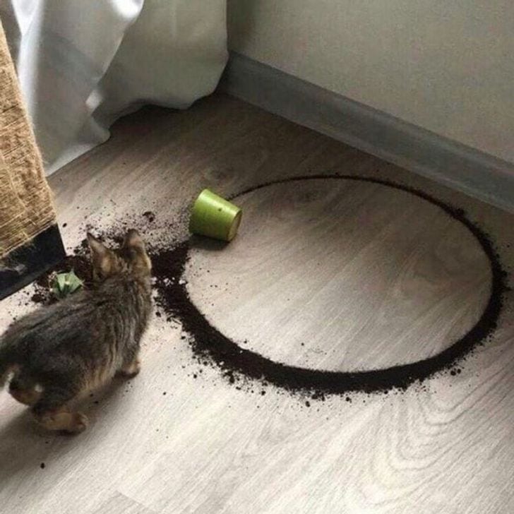 190031