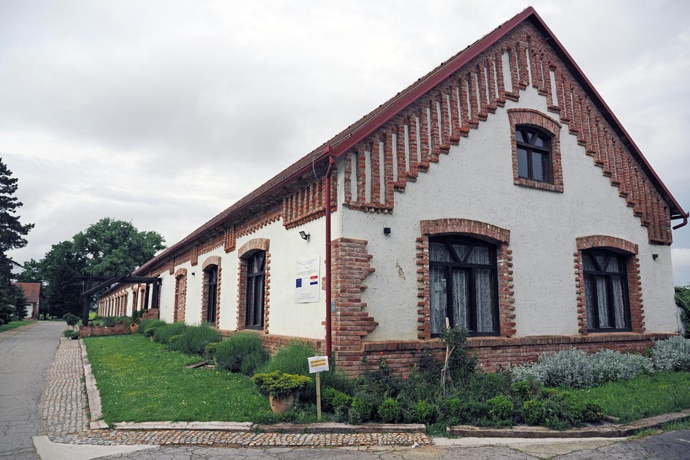 pustara visnjica (1)