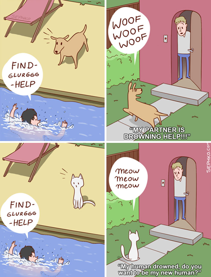 funny-cats-vs-dogs-comics-15-59c259b5ee6ce__700